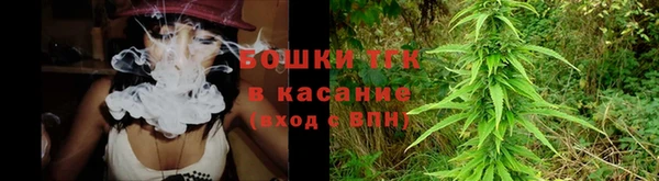 кокс Арсеньев