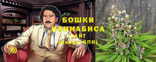 кокс Арсеньев