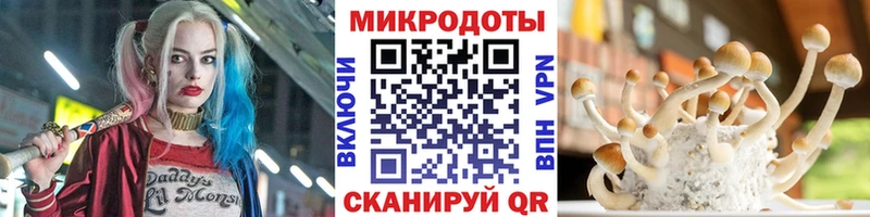 Псилоцибиновые грибы ЛСД  Строитель 
